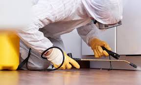 Trusted Jacinto City, TX Pest Control Experts